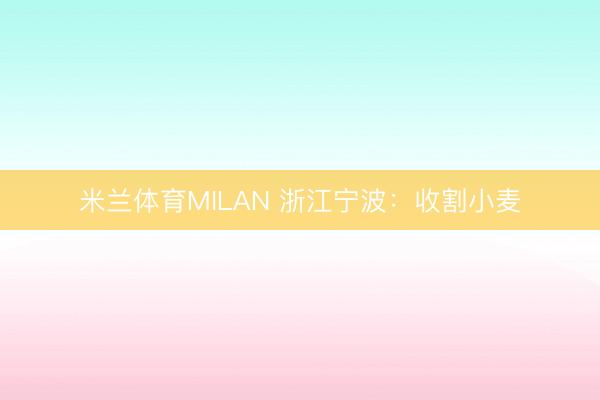 米兰体育MILAN 浙江宁波：收割小麦