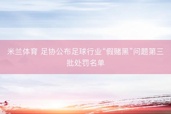 米兰体育 足协公布足球行业“假赌黑”问题第三批处罚名单