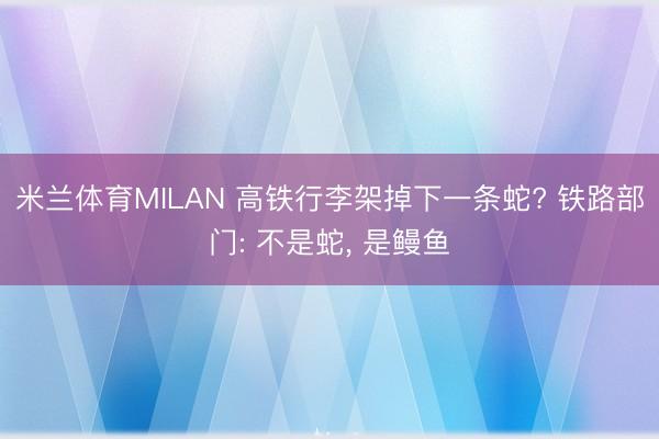米兰体育MILAN 高铁行李架掉下一条蛇? 铁路部门: 不是蛇, 是鳗鱼