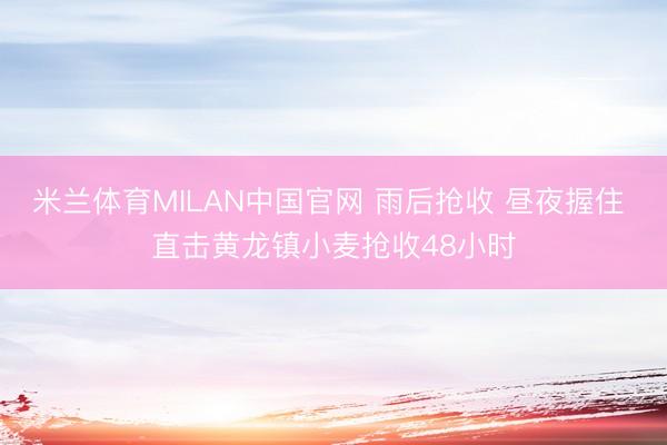 米兰体育MILAN中国官网 雨后抢收 昼夜握住 直击黄龙镇小麦抢收48小时