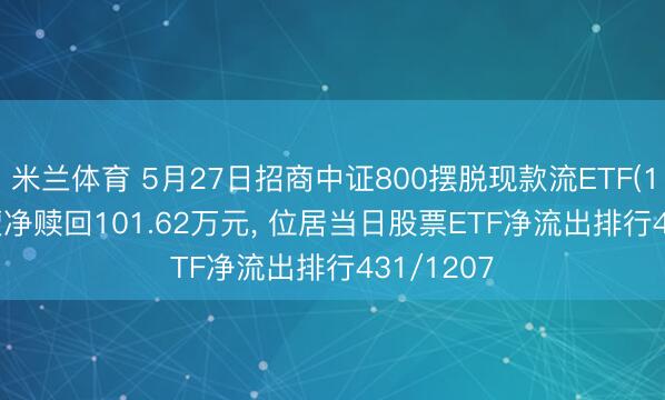 米兰体育 5月27日招商中证800摆脱现款流ETF(159119)遭净赎回101.62万元， 位居当日股票ETF净流出排行431/1207
