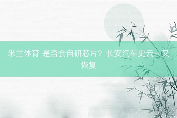 米兰体育 是否会自研芯片？长安汽车史云一又恢复