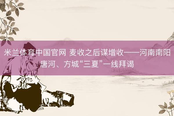 米兰体育中国官网 麦收之后谋增收——河南南阳唐河、方城“三夏”一线拜谒