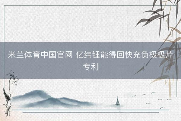 米兰体育中国官网 亿纬锂能得回快充负极极片专利