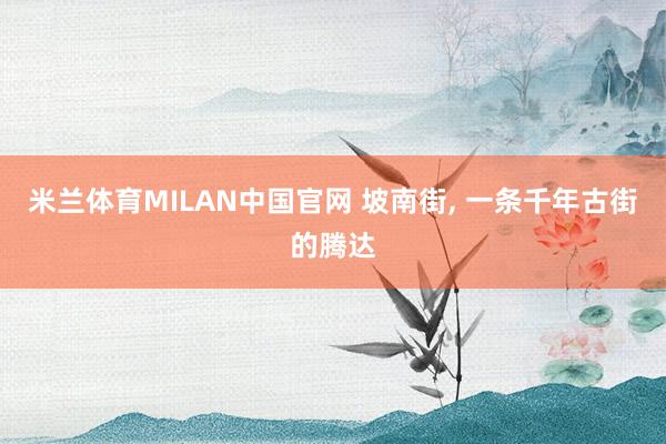米兰体育MILAN中国官网 坡南街， 一条千年古街的腾达